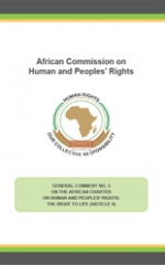 General Comment No. 3 on the African Charter on Human and Peoples’ Rights: The Right to Life (Article 4)