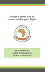 General Comment No. 3 on the African Charter on Human and Peoples’ Rights: The Right to Life (Article 4)