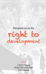 Perspectives on the right to development