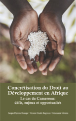 Concrétisation du Droit au Développement en Afrique – Le Cas du Cameroun: Défis, Enjeux et Opportunités